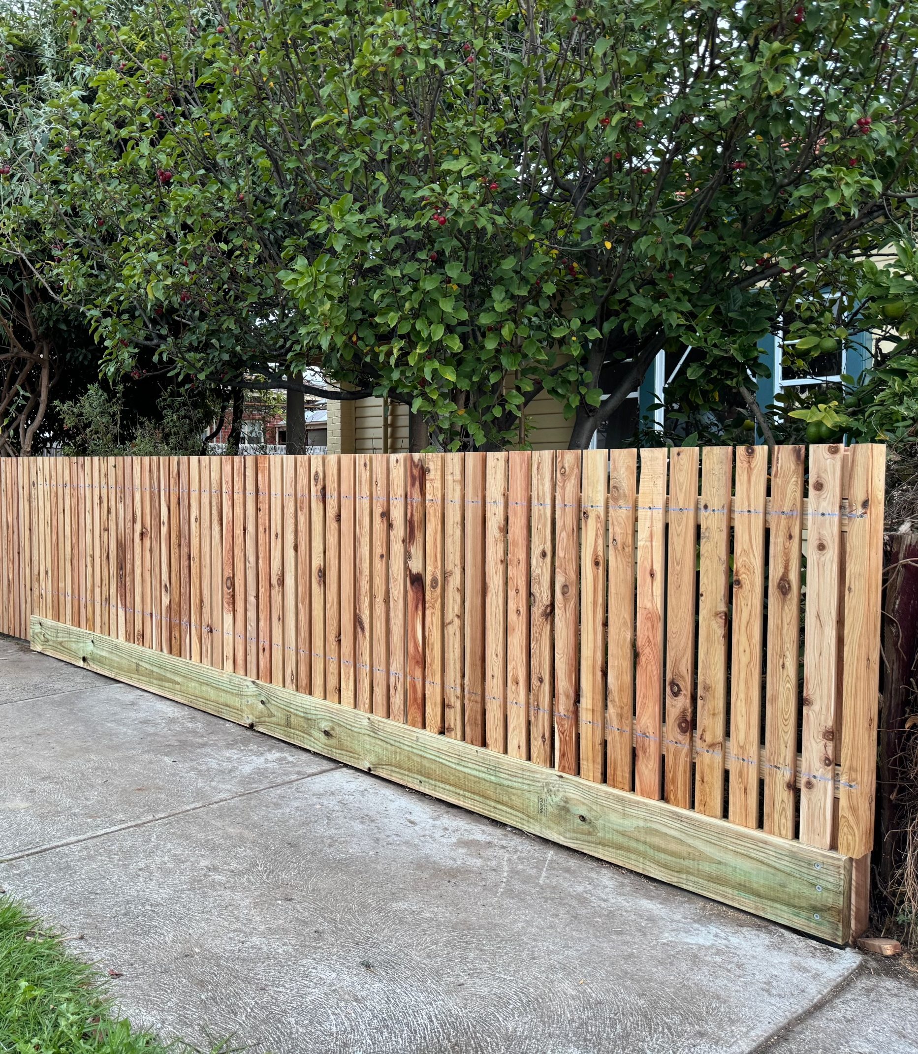 fencing