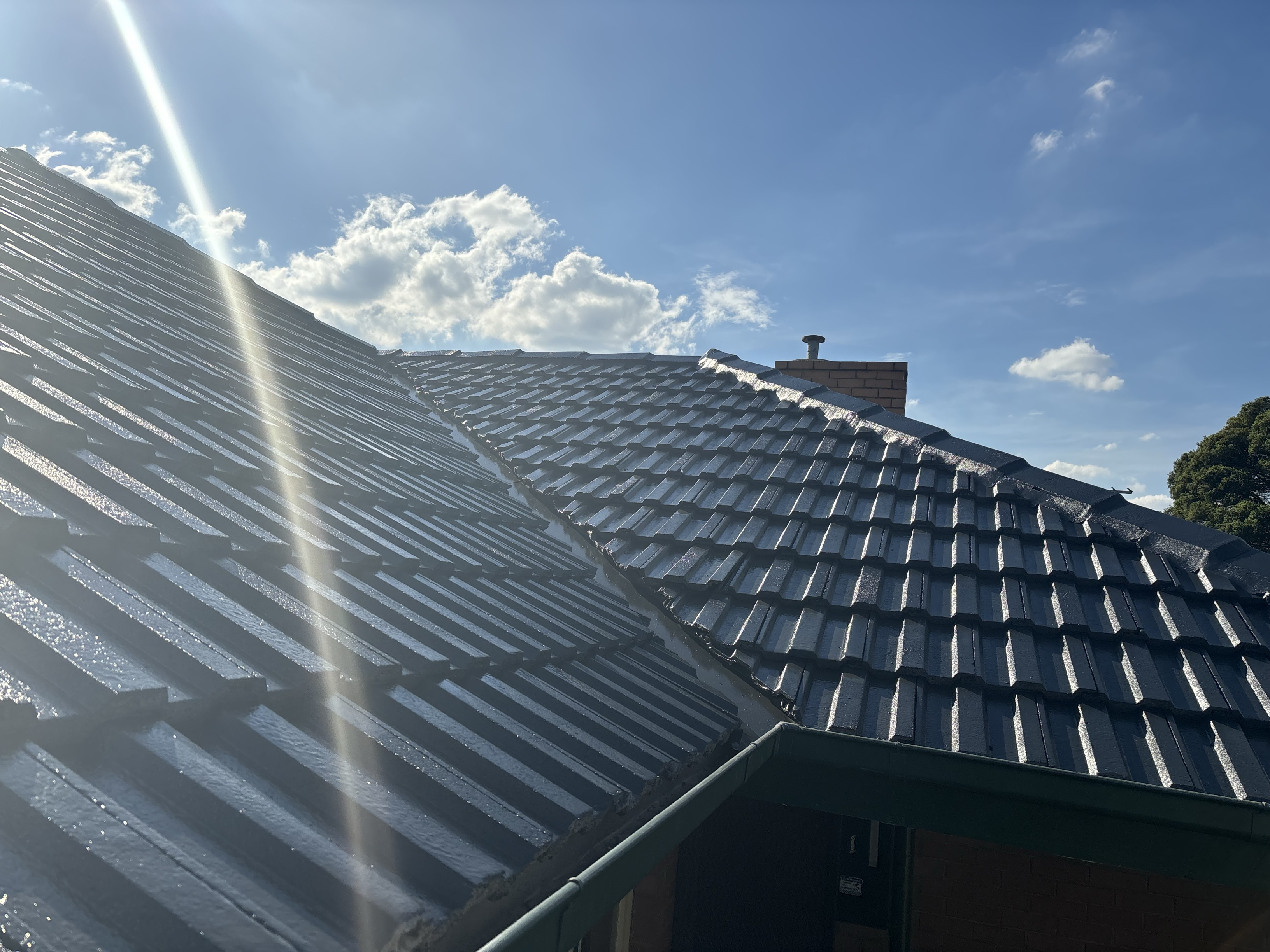 Roof Repair & Restoration Services​