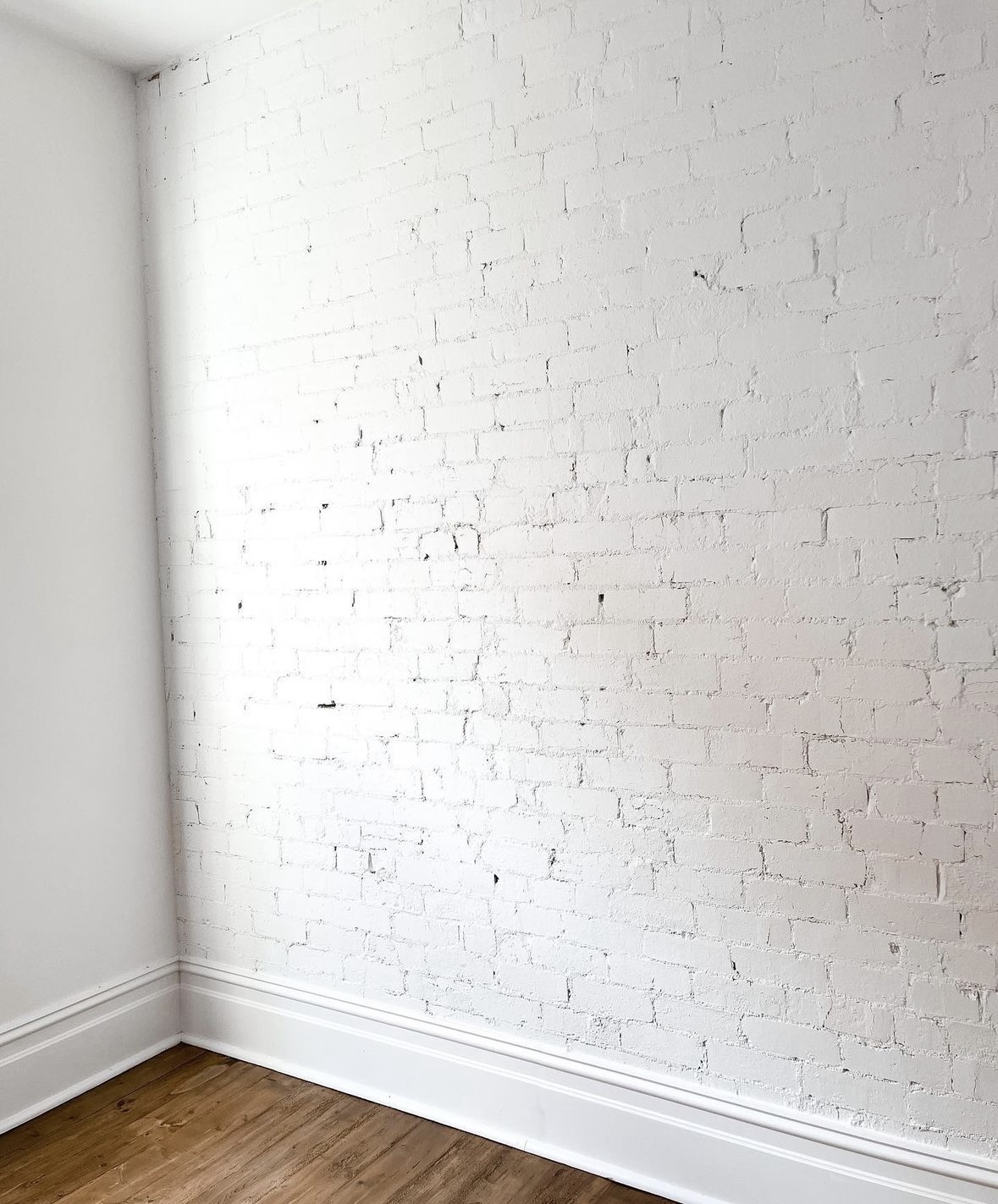 plaster and paint services