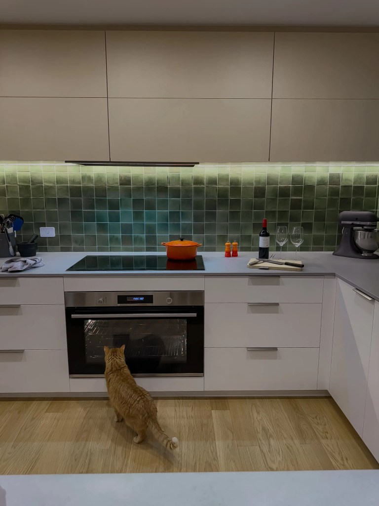 Elm st kitchen renovation