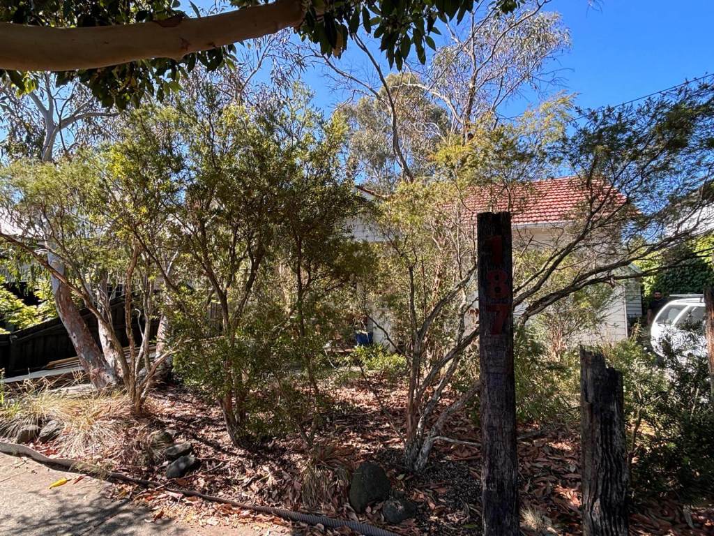 187 Bastings St Northcote before Garden