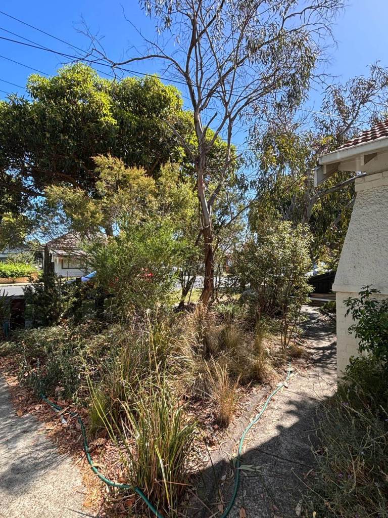 187 Bastings St Northcote before Pathway